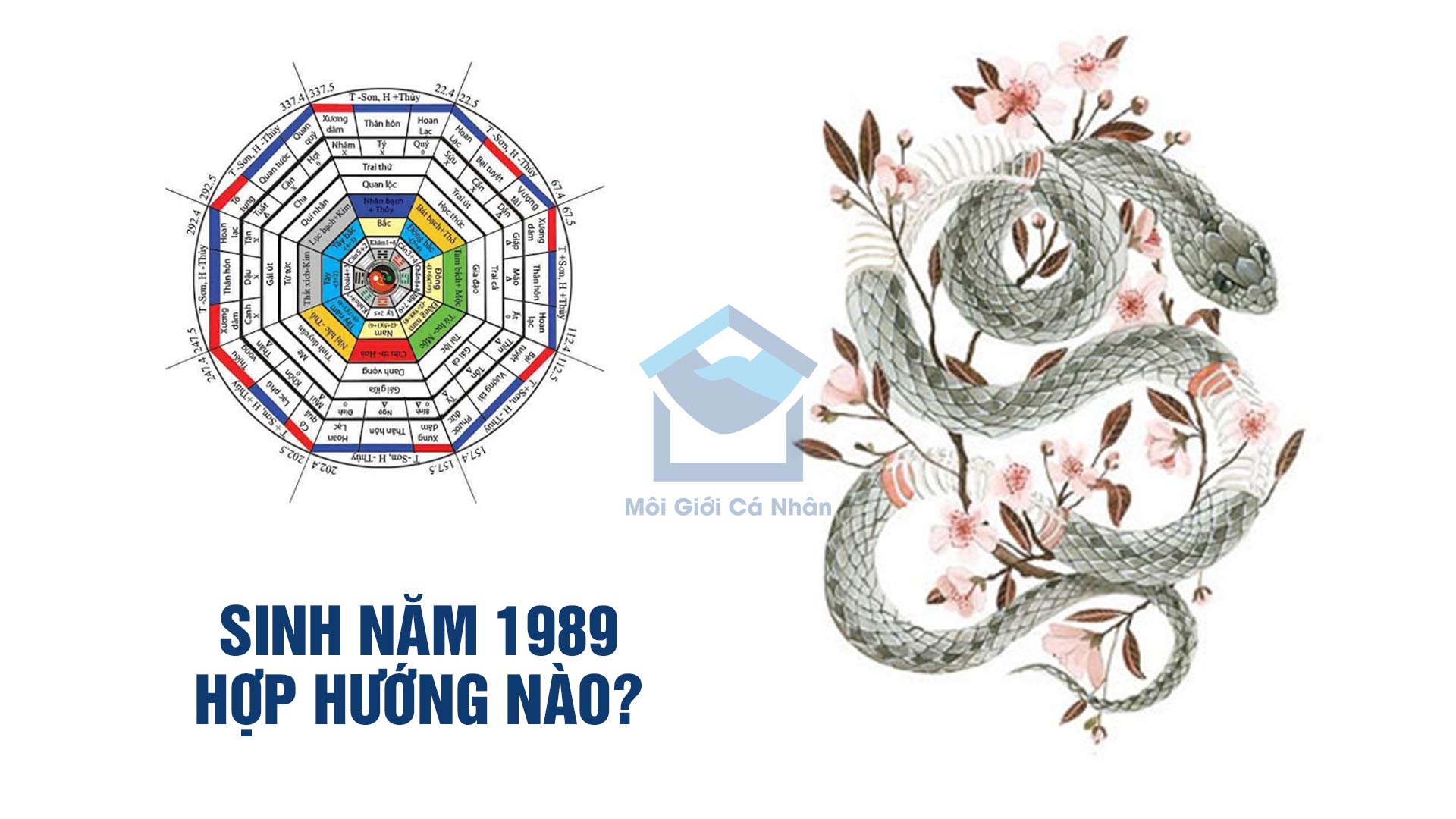 Phong-thuy-huong-nha-tuoi-ky-ty-1989-nu