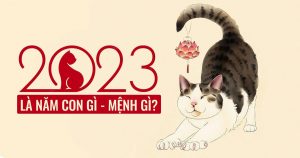 Nguoi-sinh-nam-2023-menh-gi-