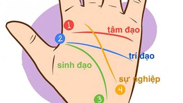 Mệnh là gì1